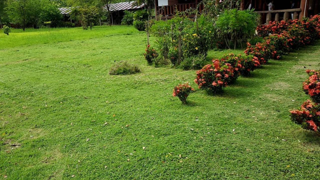 Ban Chang Klang Na Nong ap Chang Exteriér fotografie